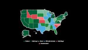 Smoke shops in legal states face an entirely new array of unforeseen challenges. We can help.