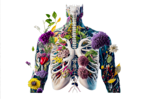 The endocannabinoid system: How Our Bodies Accept the Medicine