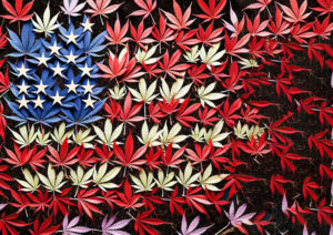10 Years of Legalization