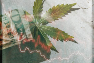Cannabis stocks have failed investors miserably.
