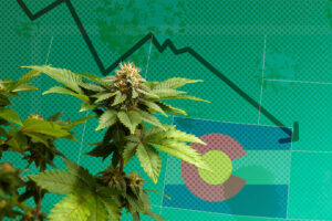 Colorado Cannabis Feature Image