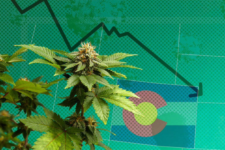 Why Colorado’s Cannabis Industry is Declining