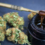 Solventless cannabis extractions: the better way.