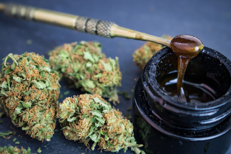 Why Solventless Cannabis Extraction is Superior to Solvent-Based Extraction