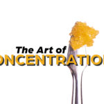 The Art of Concentration