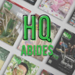 HQ Abides