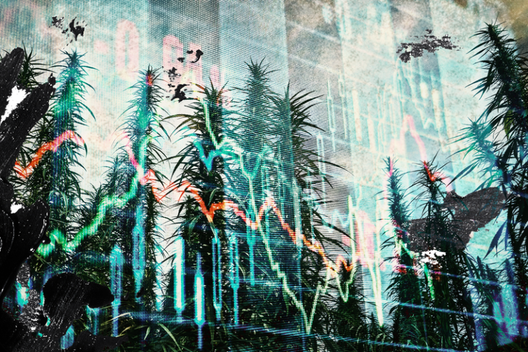 The Hemp Market’s Reckoning: Uncertainty is Baked in; So is Opportunity