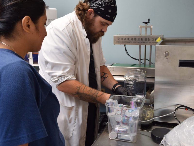 Southern Hemp Southern Hemp