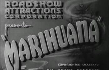 1686949263___marihuana1936title52532a1