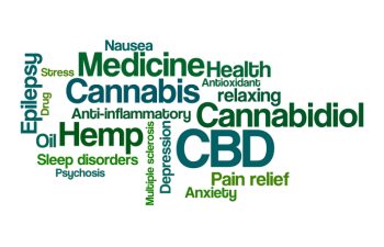 Word Cloud on a white background - CBD