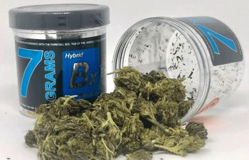 Hemp Flower Terp Nation Headquest Magazine