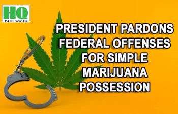 Marijuana Pardon