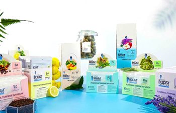 all-terp-packs-banner-1800x1000px-web_1600x.jpg web