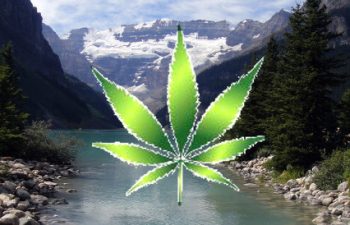 canna leaf and northern rockies canada Headquest Magazine