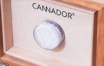 cannador-lifestyle-5