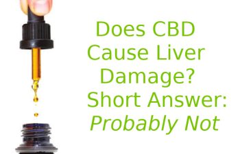 cbd oil dropper pic Headquest magazine