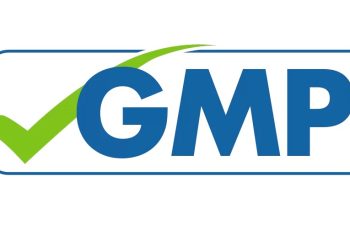 gmp