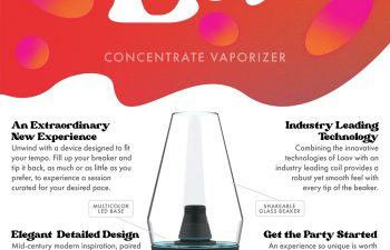 Sales Sheet - Loov