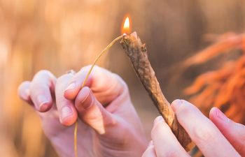 native-leaf-hemp-wrap1-web
