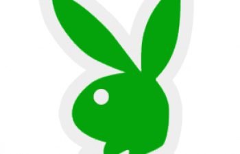 playboy